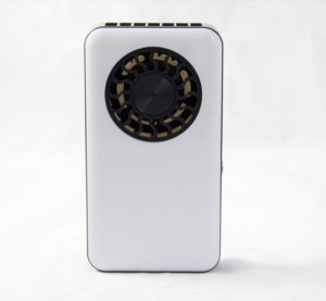 Batterypersonalfan